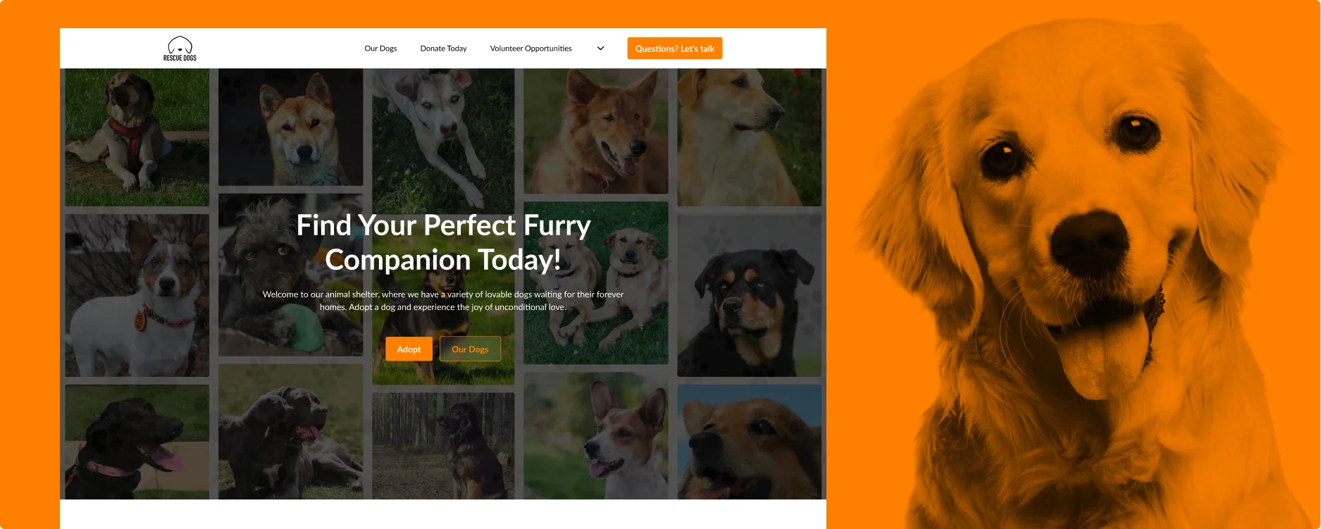 Animal Shelter – Website Design